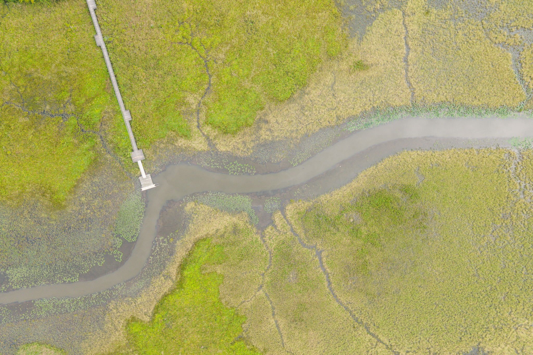 Aerial top-down view of a boardwalk through a marsh